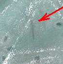 �T���R�E�@���j��@�s�x�|�Q�O�y