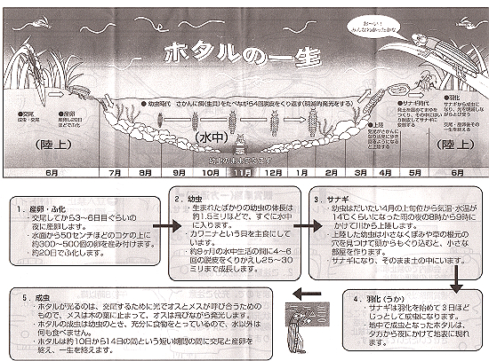 ���j���L