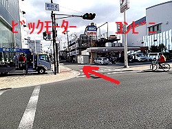 �r�N�^�[����