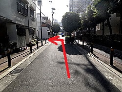 �r�N�^�[����